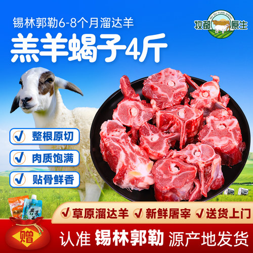 内蒙羊蝎子羊肉生鲜带骨羊肉