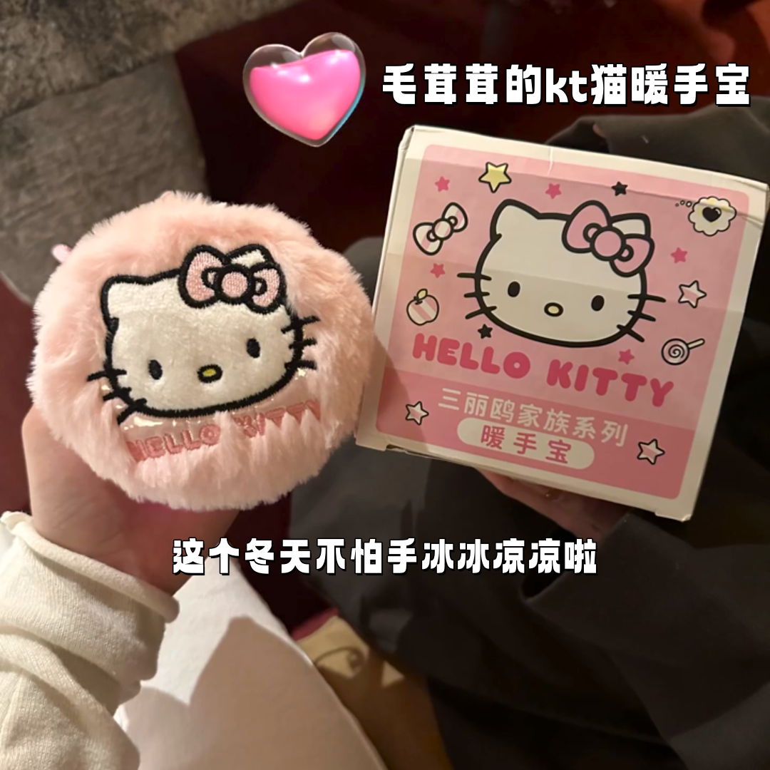 天冷了就收到毛茸茸的kt暖手宝