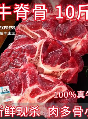 10斤满肉牛脊骨整根牛蝎子原切