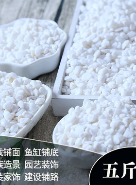 五斤天然白石子庭院景观铺路花盆鱼缸多肉铺面鹅卵石造景