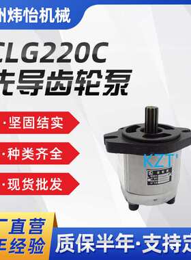 挖掘机 配件 液压先导泵 CLG220C齿轮泵11C0122 CLG925D 挖机配件