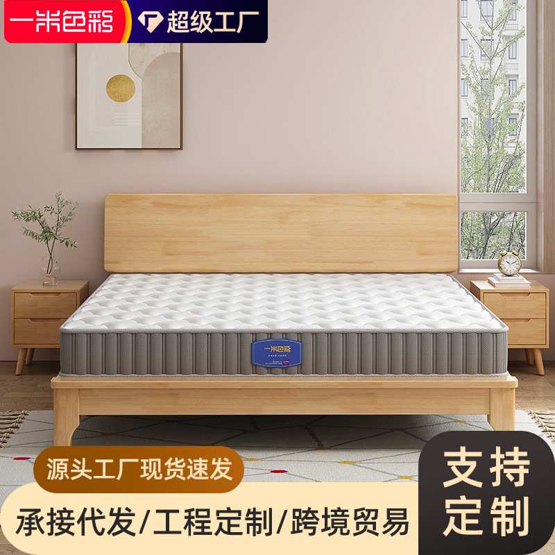 一米色彩加厚床垫软垫榻榻米垫子软硬双面两用弹簧床垫家用卧室
