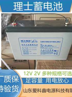 理士蓄电池DJM12100S 12V100AH UPS直流屏机房铅酸电池DJM1265S