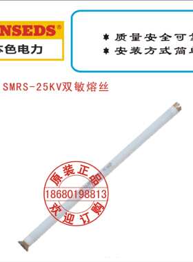 BS SMRS-25KV双敏熔丝