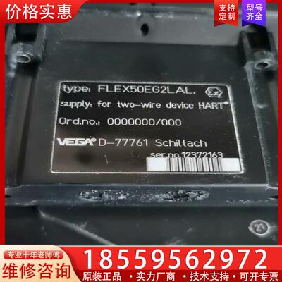 议价VEGA D-77761模块