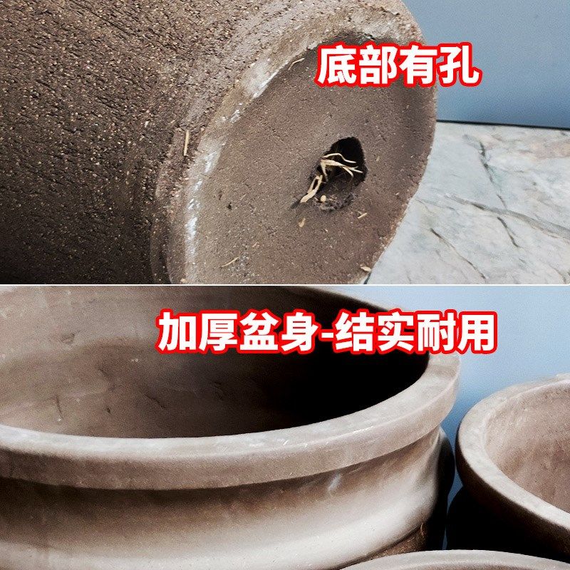 新款圆口紫c砂花盆特大号粗陶陶罐室内家居盆景花卉田园控根透气,鲜花速递/花卉仿真/绿植园艺,花盆,淘宝优惠券,粉丝福利购,淘宝优惠卷