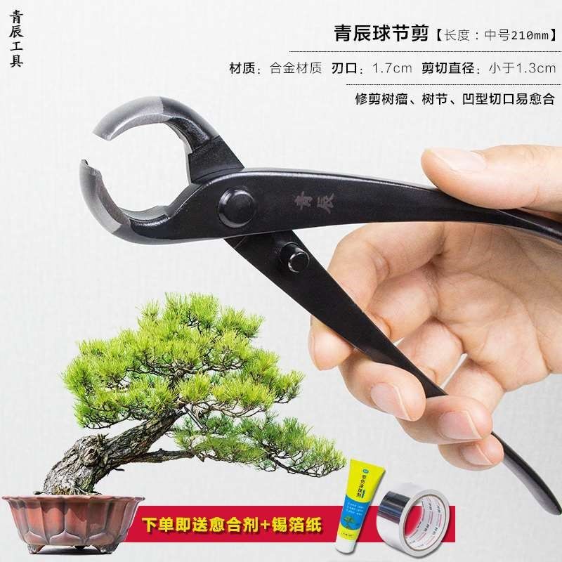 盆景修剪造型专用工具园林剪枝剪B刀剪树枝园艺植物树木艺园花木,鲜花速递/花卉仿真/绿植园艺,剪刀,淘宝优惠券,粉丝福利购,淘宝优惠卷