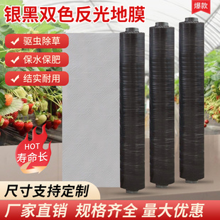 农用种植地膜加厚保温反光除草防虫银黑双色地膜胶V纸大棚塑料薄