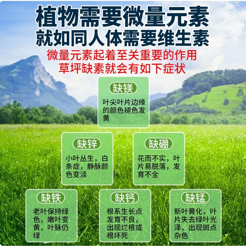 草坪专用营养液发黄增绿剂草皮E返青活力素草坪生根有机肥料,鲜花速递/花卉仿真/绿植园艺,家庭园艺肥料,淘宝优惠券,粉丝福利购,淘宝优惠卷