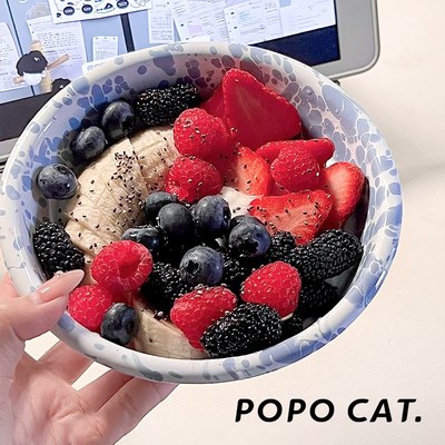 韩式泼墨碗ins风m酸奶碗餐具盘子高级感麦片碗水果碗沙拉碗搪瓷碗