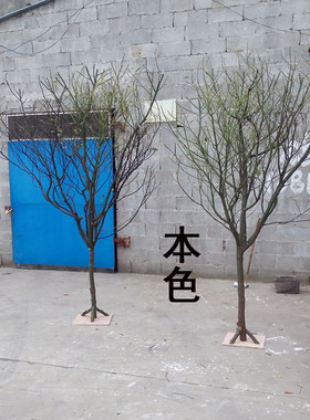 干树枝干枝白色树干许愿树橱窗y枯树杆婚庆路引道具装饰落地摆件