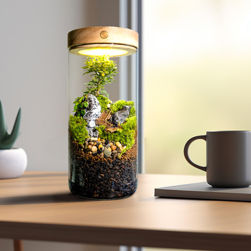 丘辰青苔藓微景观生态瓶办公室内桌B面鲜活绿植DIY造景盆栽小摆件