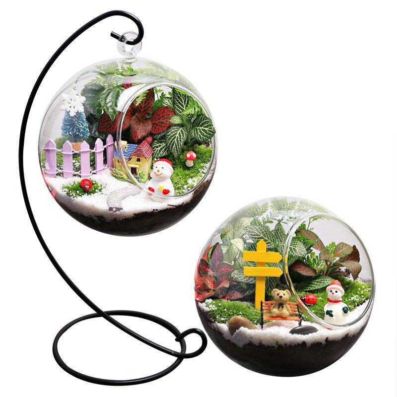 13 圣诞室内桌面迷你小s盆栽绿植物苔藓生态玻璃微缩型景观diy材