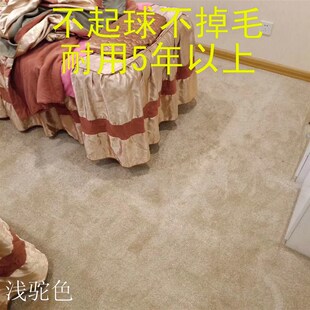 加厚纯色弯头纱地毯美容院婚纱店办C公室客厅家用房间满铺工程地