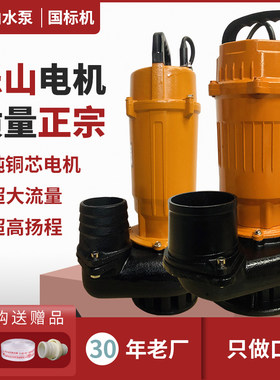 家用电动抽水灌j溉抽粪沼气池切割带刀污水泵潜水泵乐山电机高扬