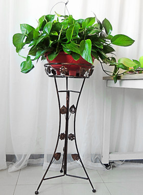 大号绿萝吊兰吸甲醛植物盆栽新房装修除味植物Q绿植绿箩垂吊兰花