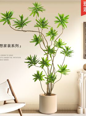 百合竹客厅绿植室内大型装饰摆件办公室落地轻奢百合X树植物大盆