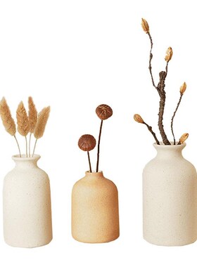 小摆件家居饰品软装客q厅柜子书架电视柜日式干花茶几玄关原木风