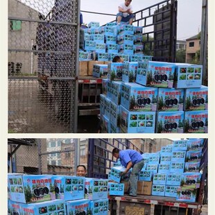 灌溉主管2寸3寸无孔软带滴灌带节水浇地L微喷管喷水管带农用滴水