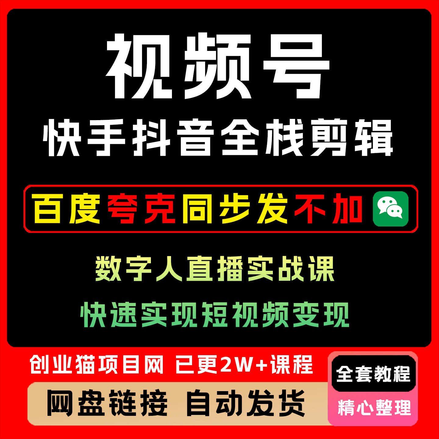 视频号快手抖音全栈剪辑+数字人直播实战课,快速实现短视频变现