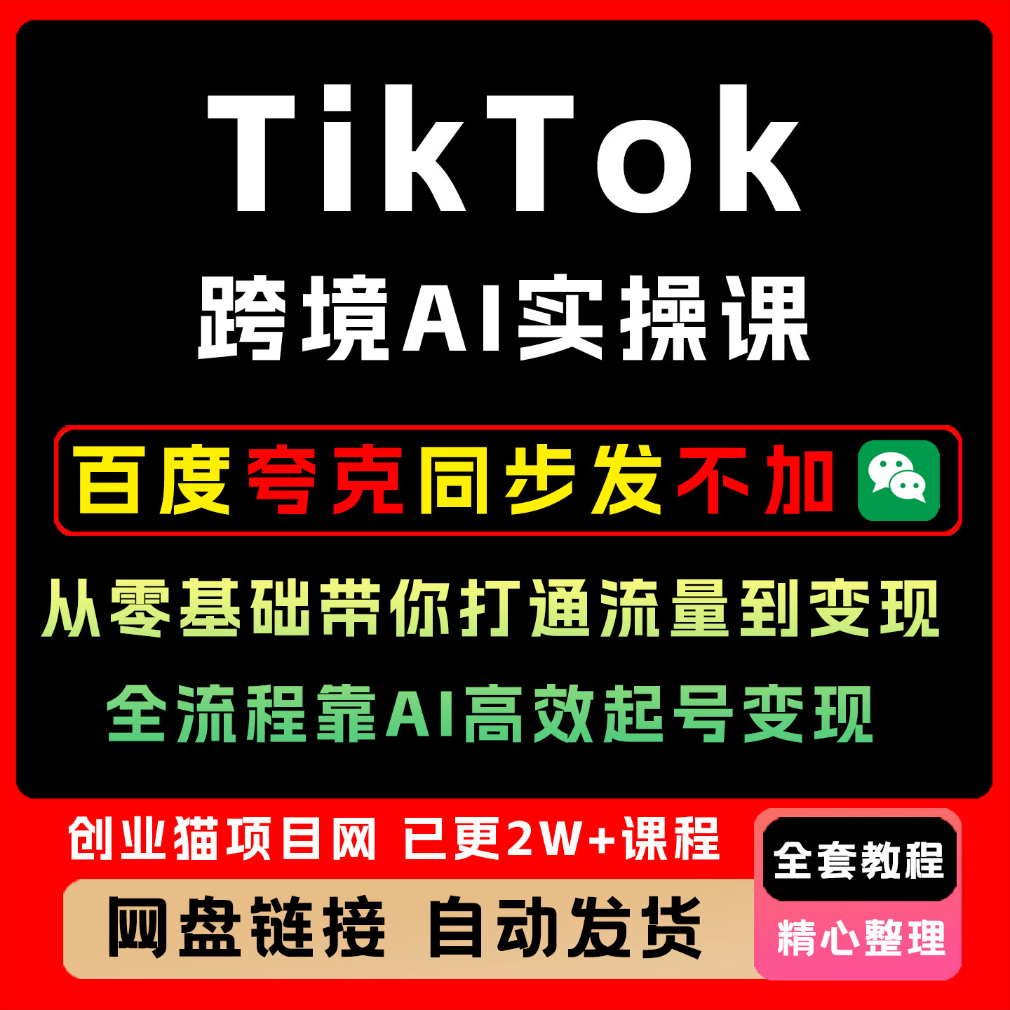 TikTok跨境AI课从零基础带你打通流量到变现全流程靠AI高效变现图片