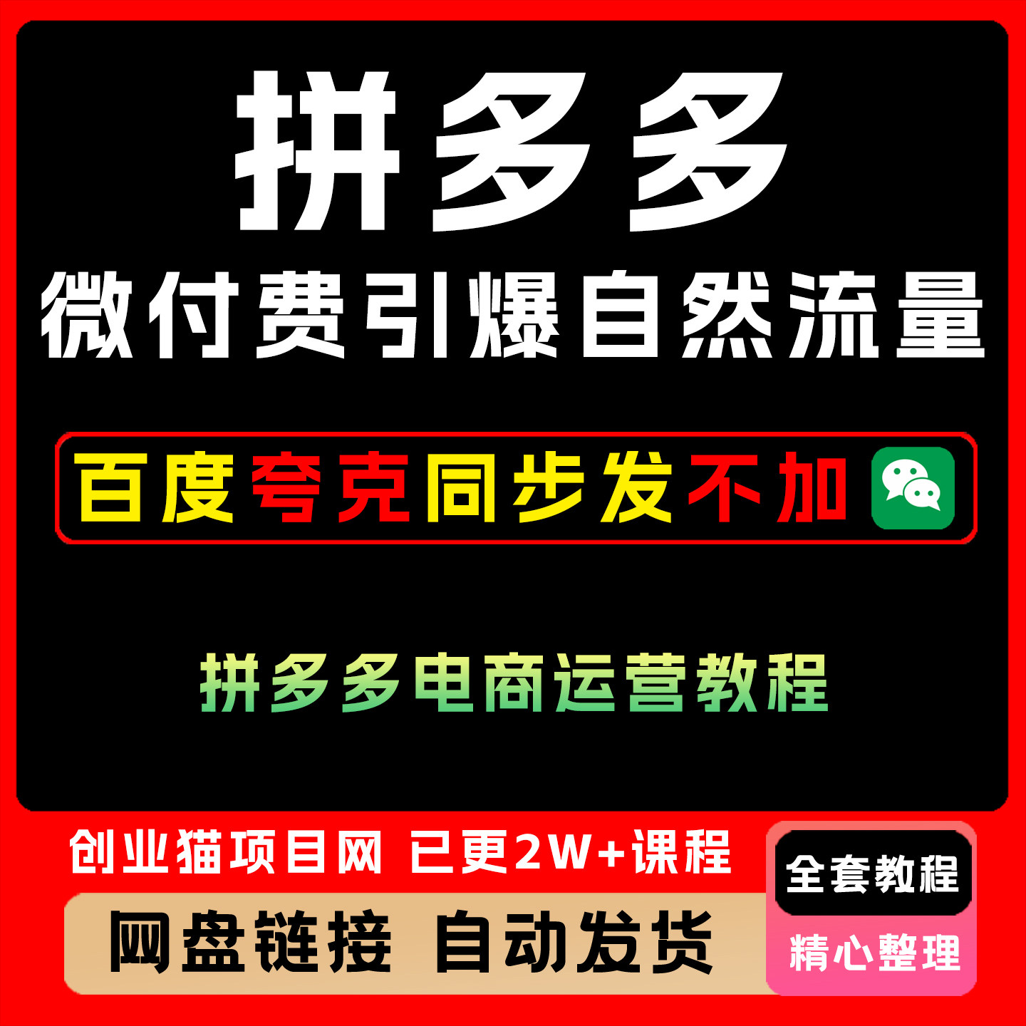 拼多多微付费引爆自然流量电商运营教程全套视频精讲教学课程