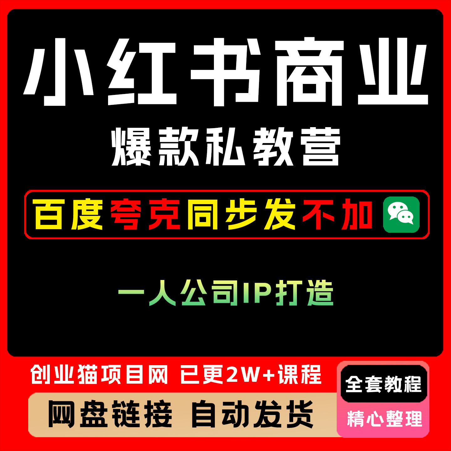 2025年月入10个的小红书商业爆款私教营 一人公司IP打造 变现秘籍