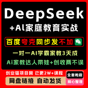 DeepSeek实战指南 国产AI大模型黄豆奶爸deepseek 精通视频教程