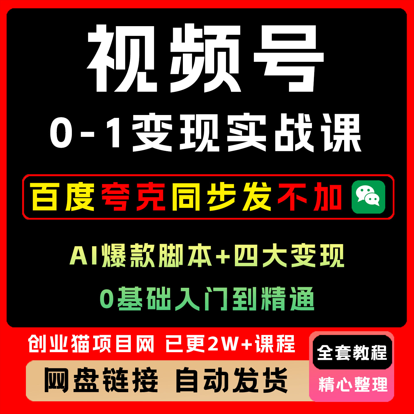 视频号0-1变现实战课 A1爆款脚本+四大变现 30天月入5000+