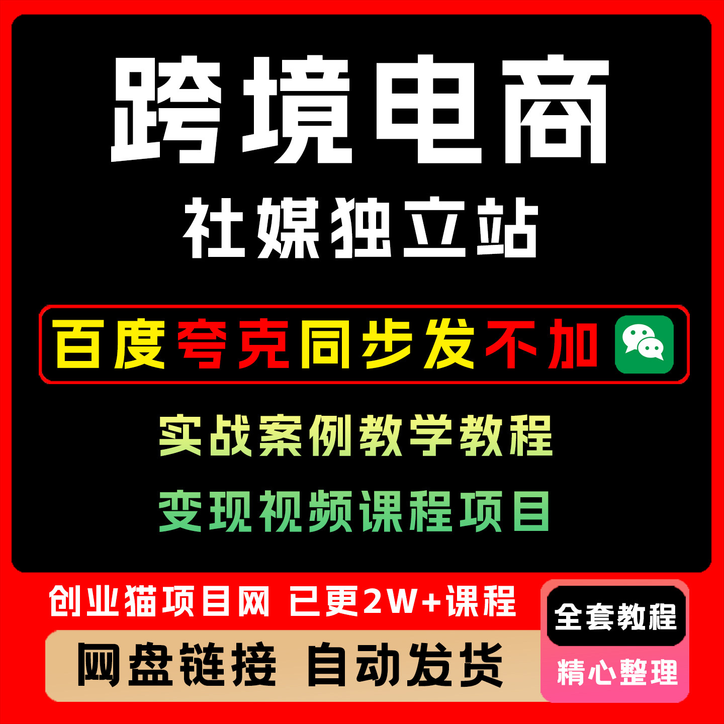 2025跨境电商新机遇社媒独立站实战案例教学教程变现视频课程项目
