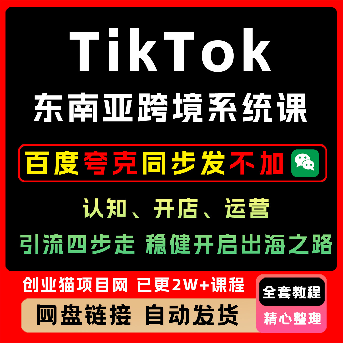 TikTok东南亚跨境系统课认知开店运营引流四步走稳健开启出海之路