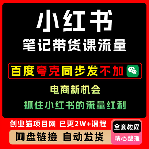xhs笔记带货课课程流量电商新机会，抓住xhs创业的流量红利教程