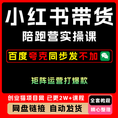2025年小红xhs书带货陪跑营矩阵运营打爆款全套详细教程