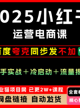 2025xhs运营电商课：新手实战＋冷启动＋流量揭秘，创业项目