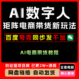 2025年数字人矩阵电商带货新玩法全套视频精讲学习教学课程项目