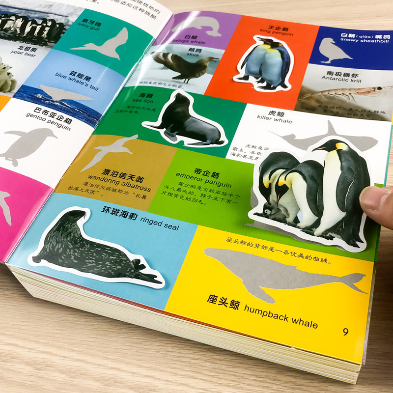 儿童动物纸幼儿宝宝启蒙认知画专注力训练纸书到岁