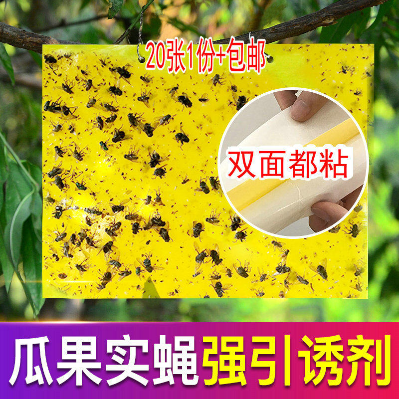 张黄板农庄宝果蝇诱粘板面胶果实蝇桔小实蝇针蜂蚊蝇粘胶