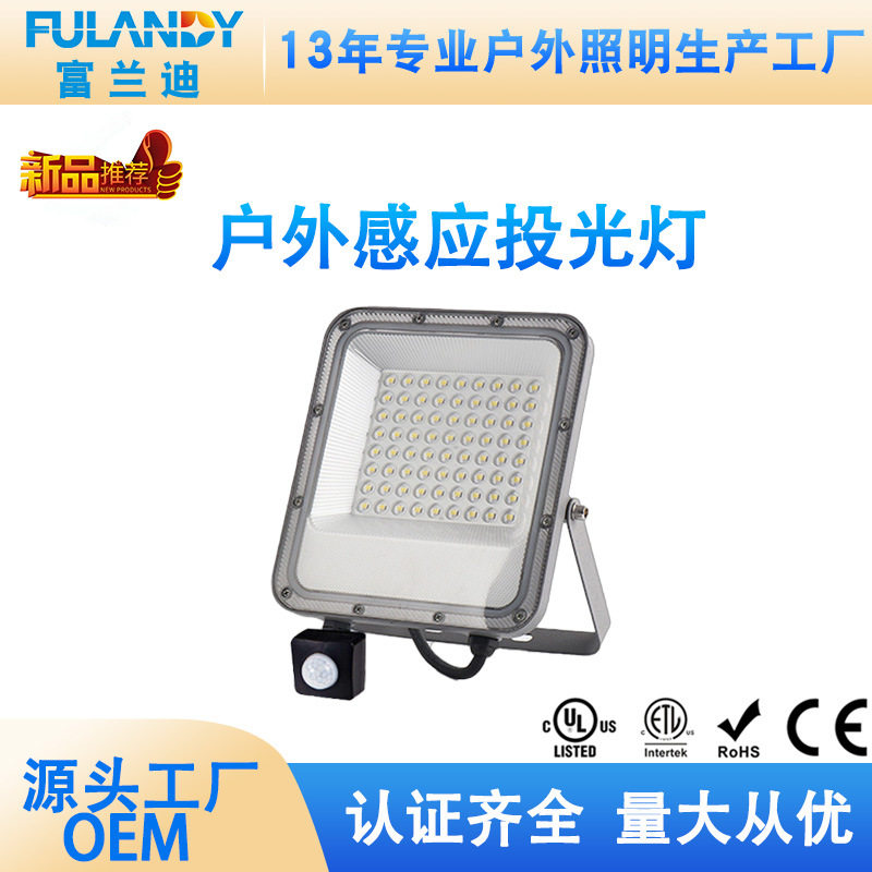 人体感应灯户外防水照明投射灯投光灯庭院家用过道阳台道路泛光灯