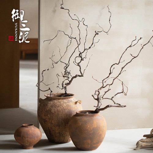 龙枣枝天然弯曲树枝中式花艺宠物爬藤造景插花装饰干树枝客厅落地