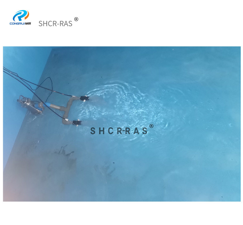 鱼池推水器静音曝气增氧机大流量造浪泵射流式潜水泵出水口增氧