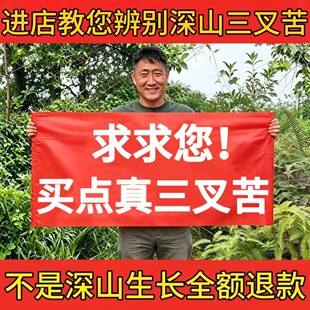 野三叉苦切片正品中药材生三丫苦三桠苦鸡骨树三脚苦叉虎无硫新货