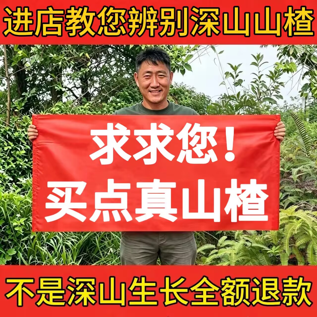 野无核山楂片正品中药材纯天然无添加生肉厚空心新鲜山楂干泡茶