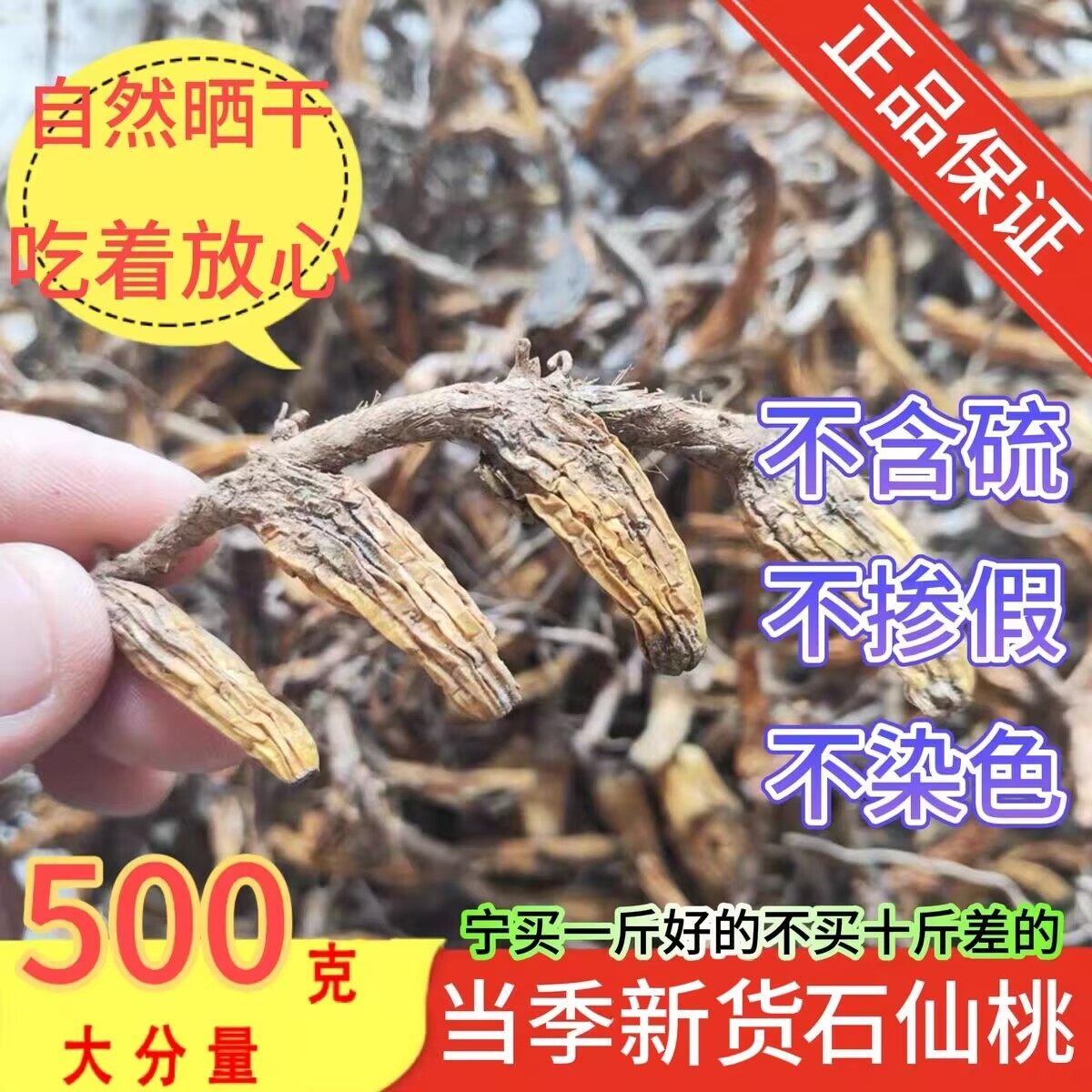 石仙桃深山中药材石橄榄新鲜干货三棱果上叶石枣子岩珠石豆兰生莲