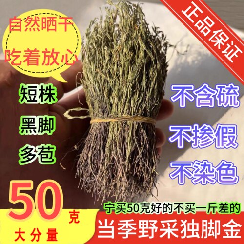 广西深山短株独脚金中药材正品