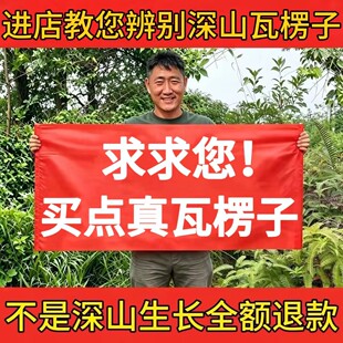 野瓦楞子正品中药材生瓦垄子蜡子壳瓦壳子毛蛤壳大片新货水洗磨粉