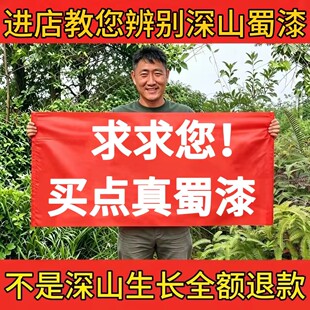 蜀漆正品中药材蜀漆叶常山叶南常山白常山叶土常山鸡屎鸭屎草嫩叶