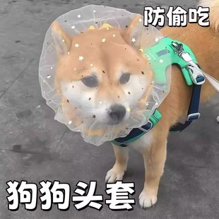 狗狗防误食头纱外出嘴套狗头套面罩防吃网套面纱中小型犬防毒面纱