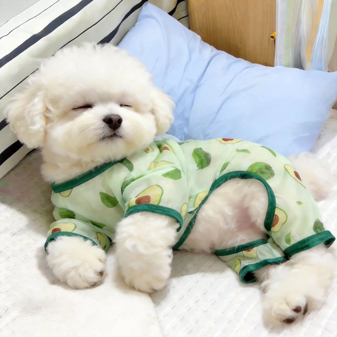 狗狗衣服夏季透气舒适亲肤牛油果四脚衣防晒背心小型犬猫咪衣服
