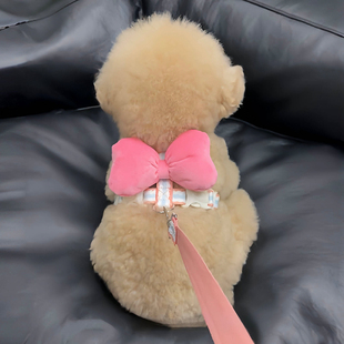 狗狗牵引绳背心式泰迪比熊雪纳瑞小型犬专用胸背防挣脱遛狗绳子