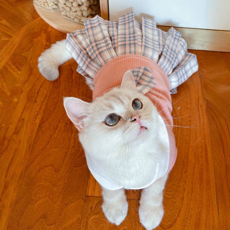 猫咪公主风JK毛线裙子布偶英短